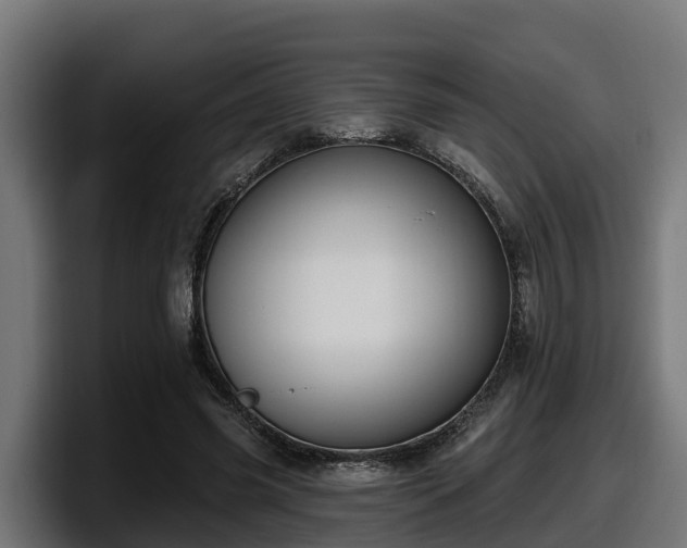 X0000097850541200803201540