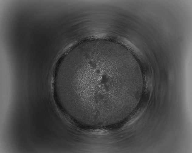 X0000097850542200803201540