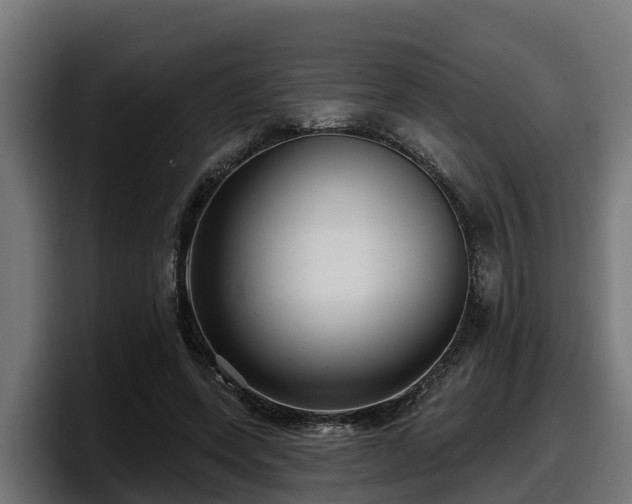 X0000097850543200803201540