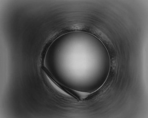 X0000097850544200803201540