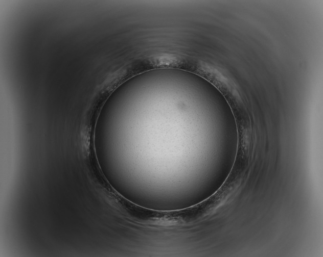 X0000097850545200803201540