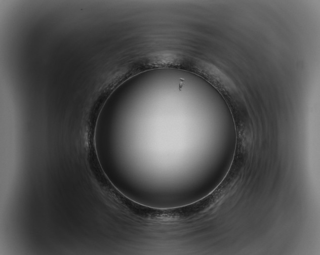 X0000097850546200803201540