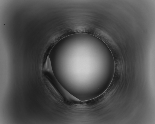 X0000097850548200803201540