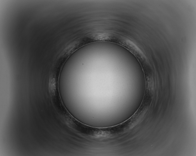 X0000097850549200803201540