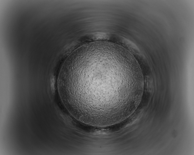 X0000097850550200803201540