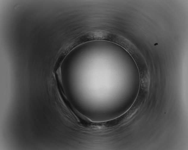 X0000097850552200803201540