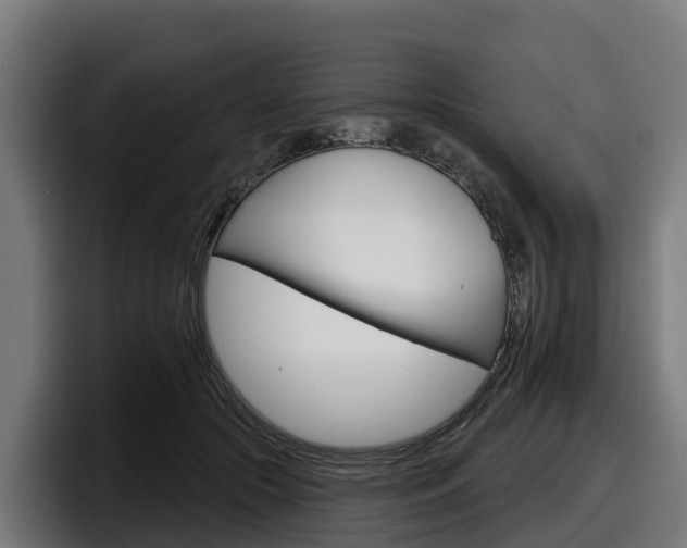 X0000097850553200803201540