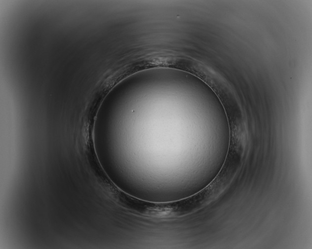 X0000097850554200803201540