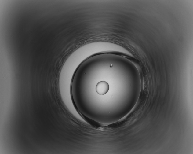 X0000097850558200803201540