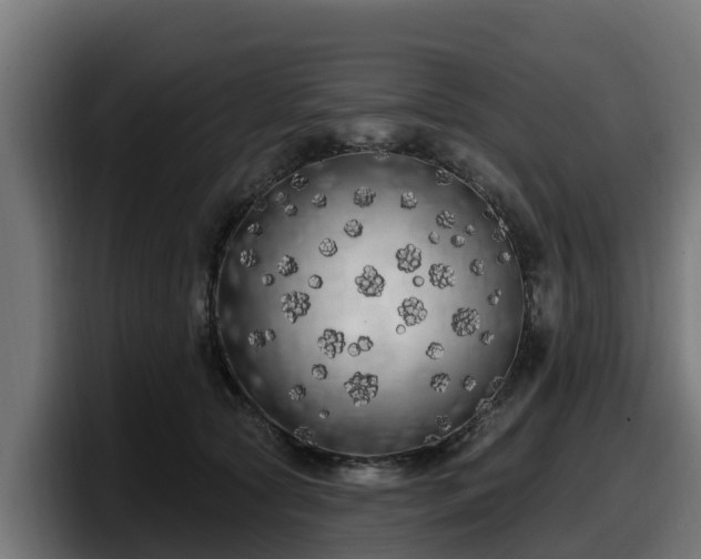 X0000097850561200803201540
