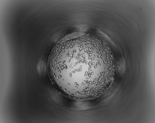 X0000097850568200803201540