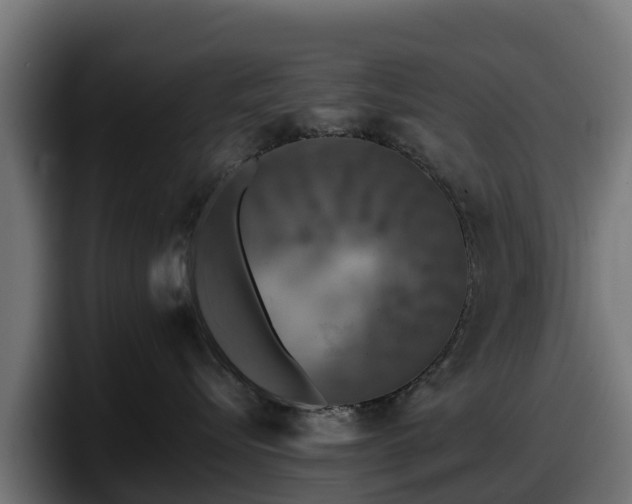 X0000097850576200803201540