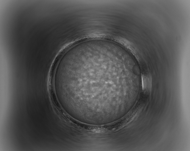 X0000097850579200803201540