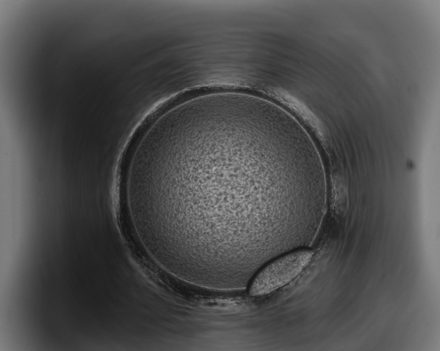 X0000097850580200803201540