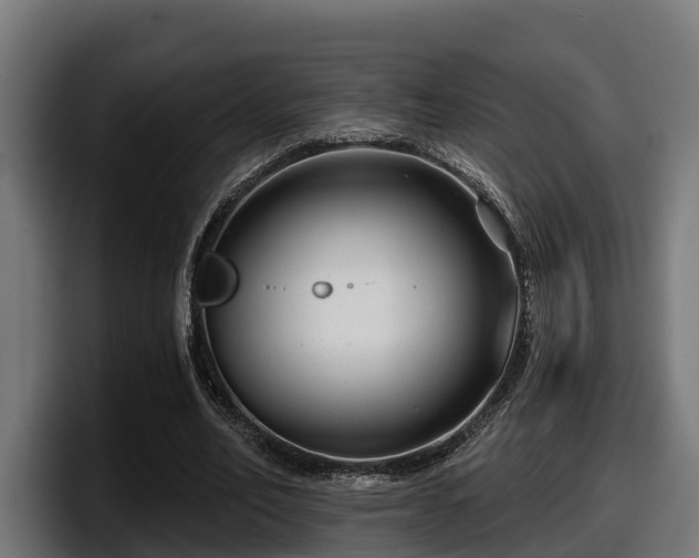 X0000097850582200803201540