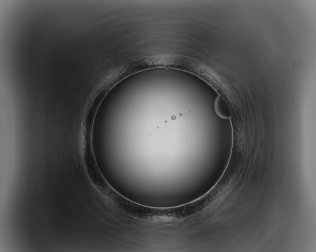 X0000097850586200803201539