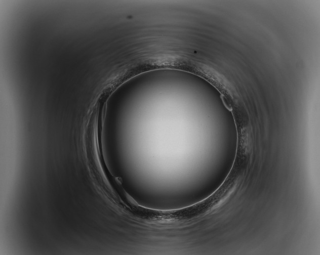 X0000097850589200803201539