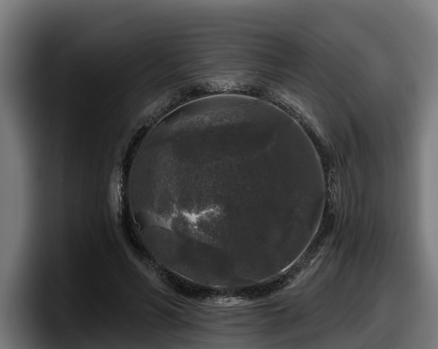 X0000097850590200803201539