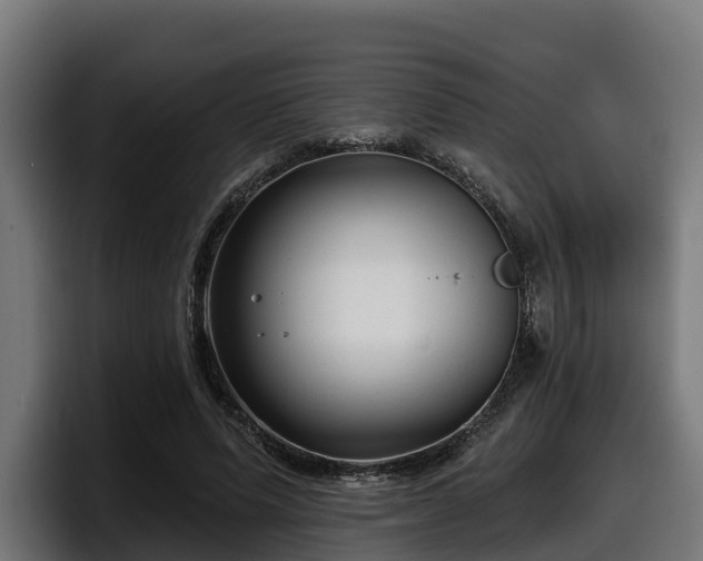 X0000097850591200803201539