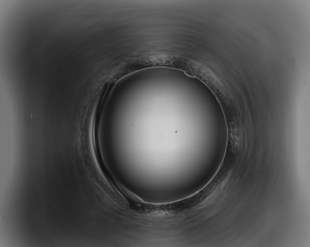 X0000097850593200803201539