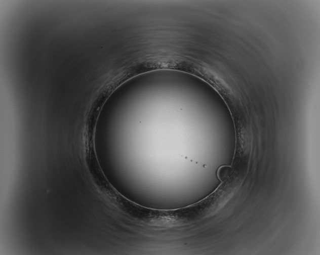 X0000097850594200803201539