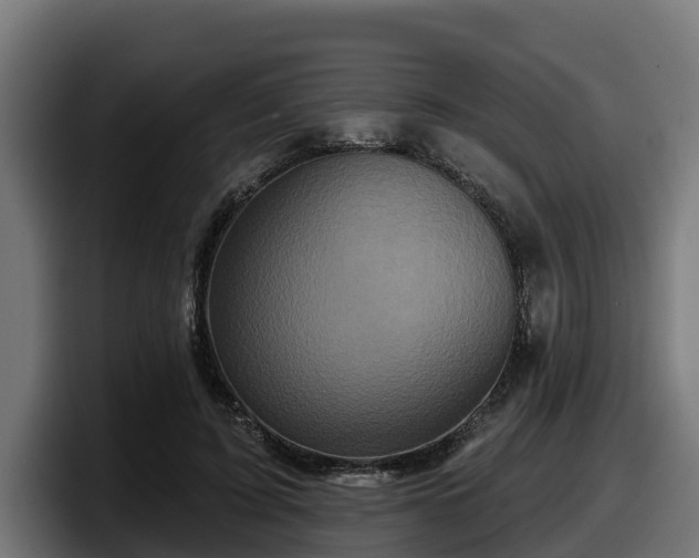X0000097850595200803201539