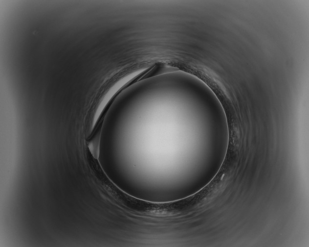 X0000097850596200803201539