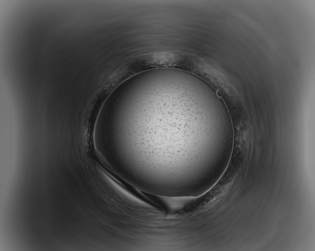 X0000097850597200803201539