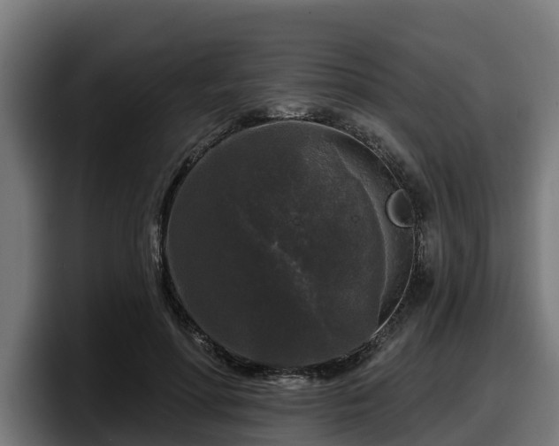 X0000097850598200803201539