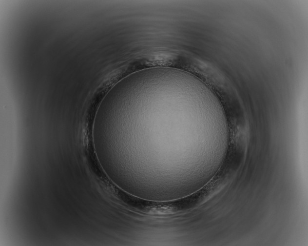 X0000097850599200803201539
