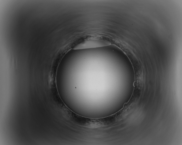 X0000097850608200803201539