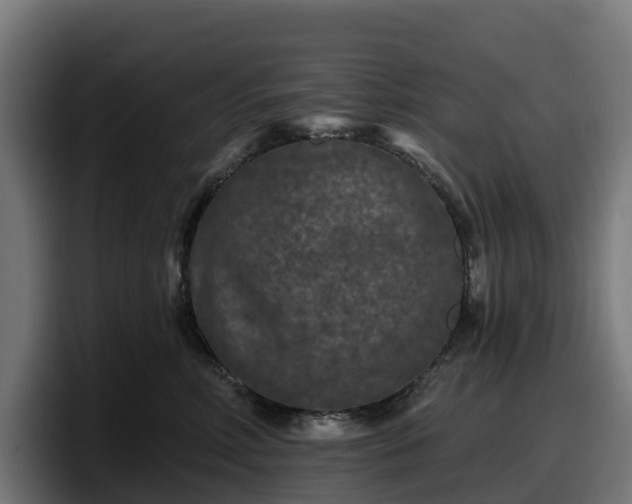 X0000097850618200803201539