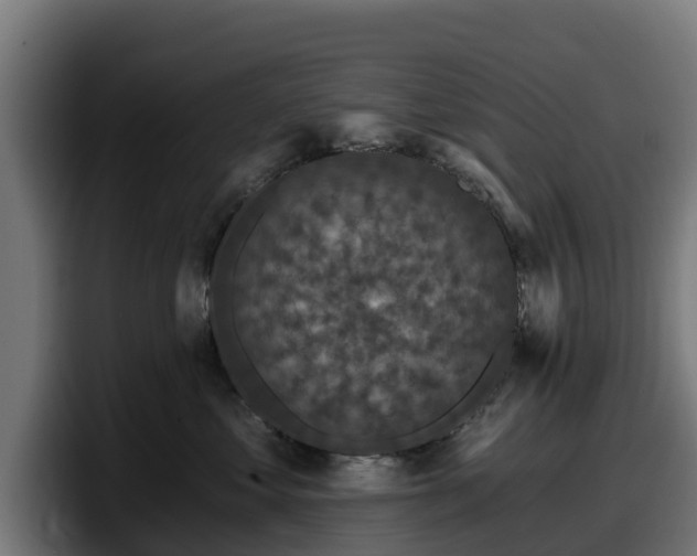 X0000097850621200803201539