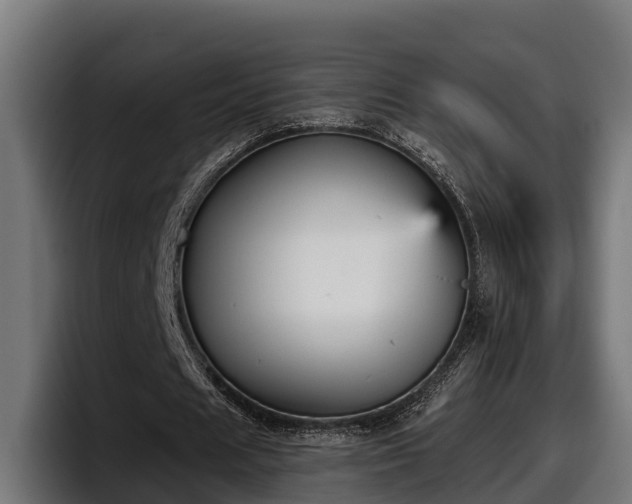 X0000097850625200803201538