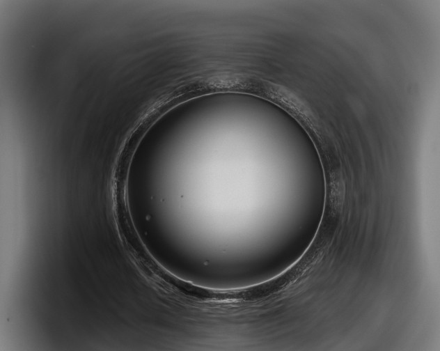 X0000097850626200803201538