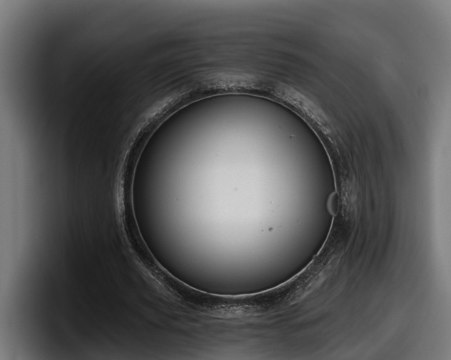 X0000097850629200803201538