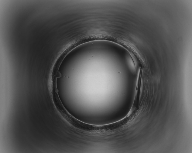 X0000097850630200803201538