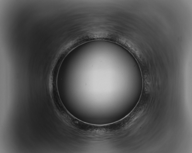X0000097850631200803201538