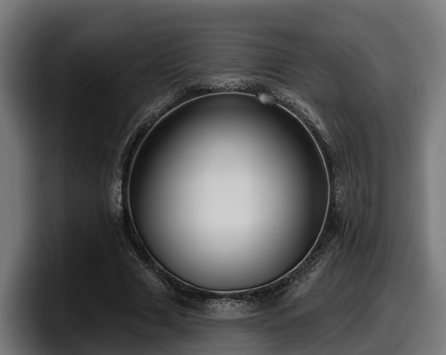 X0000097850633200803201538
