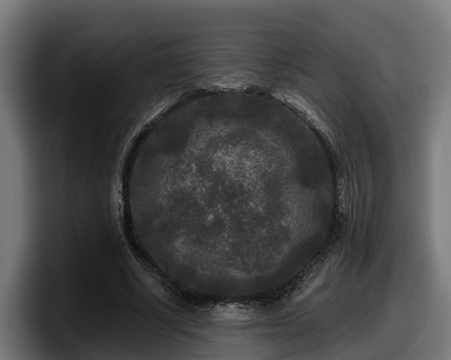 X0000097850634200803201538