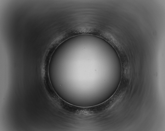 X0000097850635200803201538