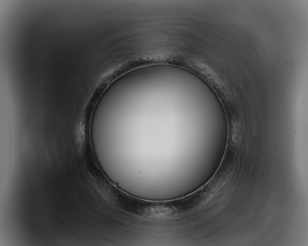 X0000097850636200803201538
