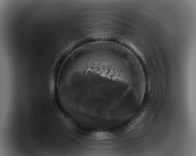 X0000097850637200803201538
