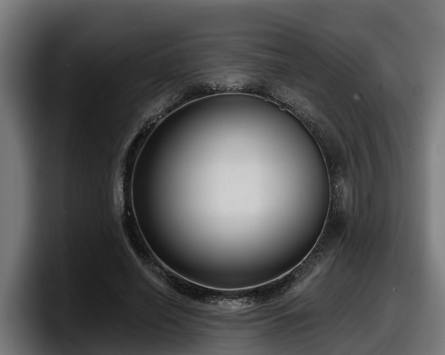 X0000097850638200803201539