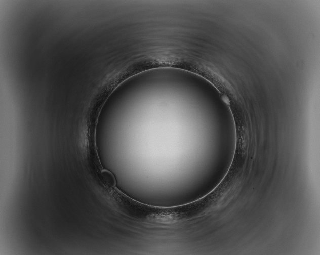 X0000097850639200803201539