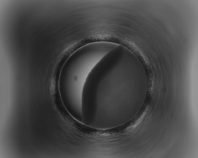 X0000097850640200803201539