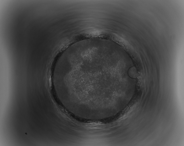 X0000097850642200803201539