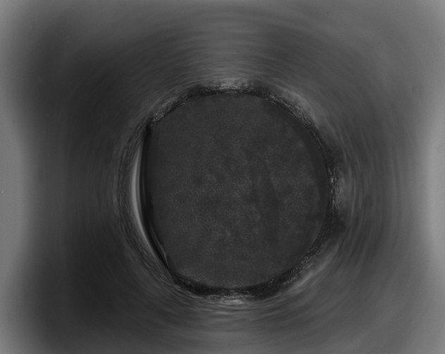 X0000097850643200803201539