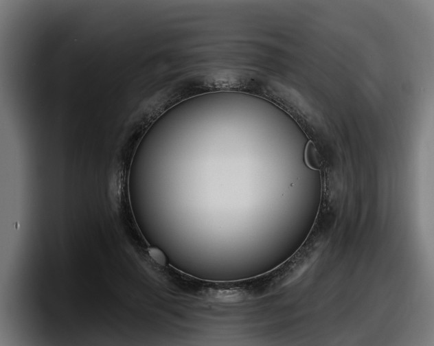 X0000097850645200803201539