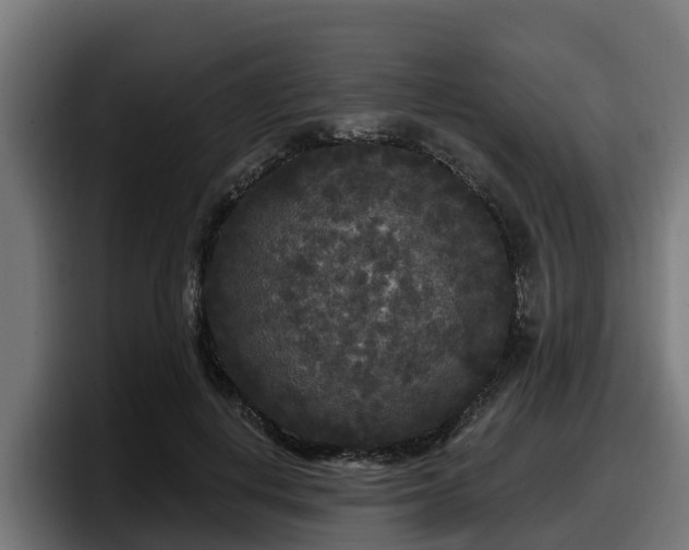 X0000097850648200803201539